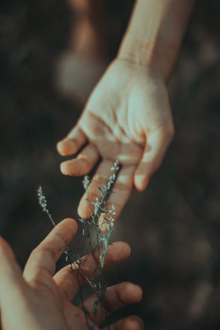 Mano acariciando con suavidad el musgo de un tronco en el bosque